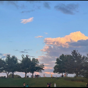 男女同网站freeviodes
